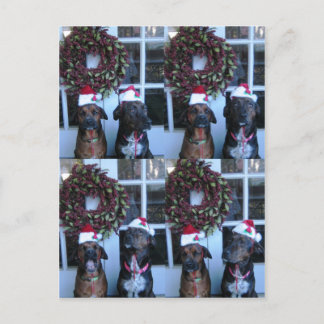 Cartes Pour Fêtes Annuelles pic de noël pour les étudiants
