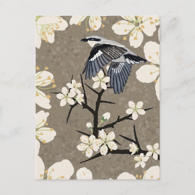 Cartes Pour Fêtes Annuelles Pie-grièche (Devant)