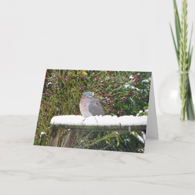 Cartes Pour Fêtes Annuelles Pigeon froid (Devant)