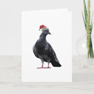 Cartes Pour Fêtes Annuelles Pigeon Santa Hat