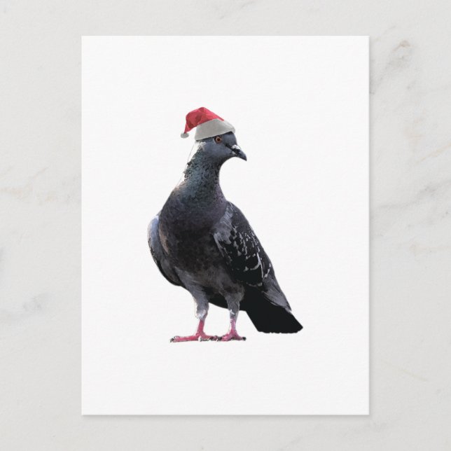 Cartes Pour Fêtes Annuelles Pigeon Santa Hat (Devant)