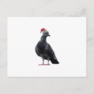 Cartes Pour Fêtes Annuelles Pigeon Santa Hat