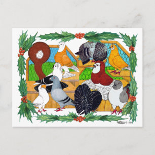 Cartes Pour Fêtes Annuelles Pigeons de Noël