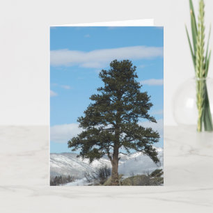 Cartes Pour Fêtes Annuelles Pin dans Steamboat Springs, le Colorado