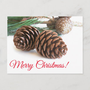 Cartes Pour Fêtes Annuelles Pine branch and cones