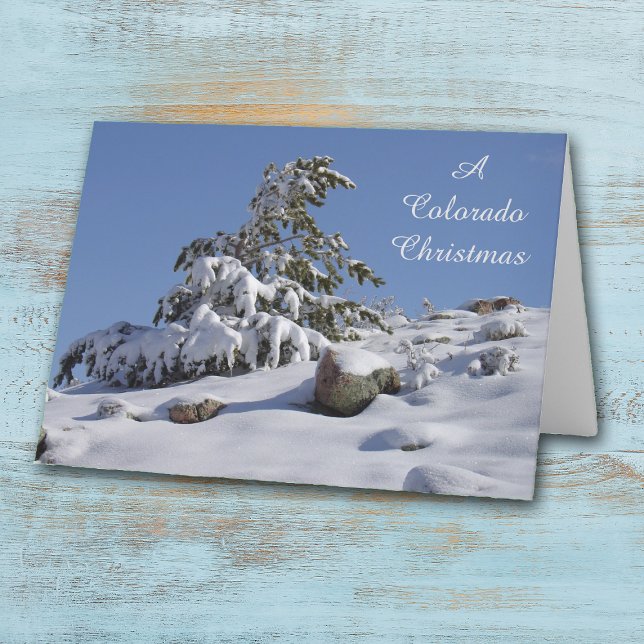 Cartes Pour Fêtes Annuelles Pine d'hiver Colorado (Créateur téléchargé)