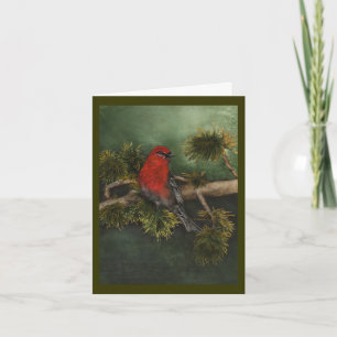 Cartes Pour Fêtes Annuelles Pine Grosbeak Nouvel An