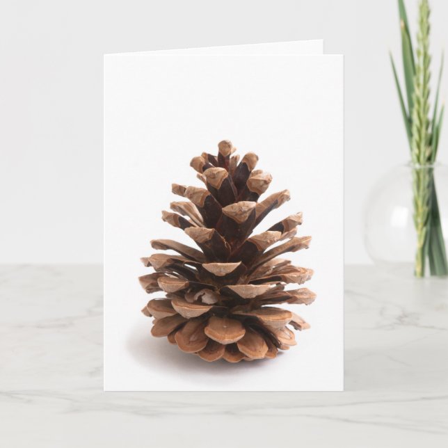 Cartes Pour Fêtes Annuelles Pinecone (Devant)