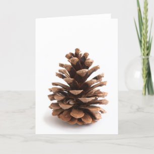 Cartes Pour Fêtes Annuelles Pinecone