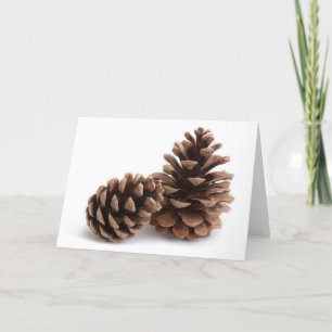 Cartes Pour Fêtes Annuelles Pinecones