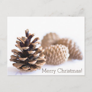 Cartes Pour Fêtes Annuelles Pinecones