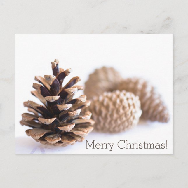 Cartes Pour Fêtes Annuelles Pinecones (Devant)