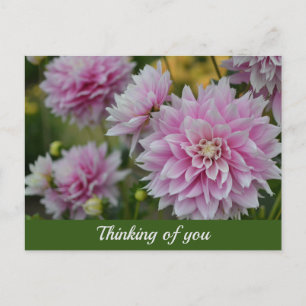Cartes Pour Fêtes Annuelles Pink Dahlia Flowers à RHS Garden Penser à vous