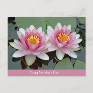 Cartes Pour Fêtes Annuelles Pink Floating Waterlily LotusValentive's Day Card