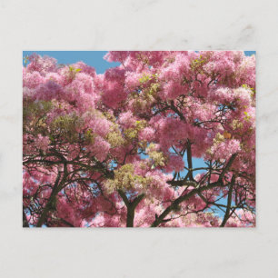 Cartes Pour Fêtes Annuelles pink flower tree