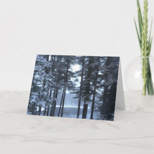 Cartes Pour Fêtes Annuelles Pins blancs dans la lumière bleue ---