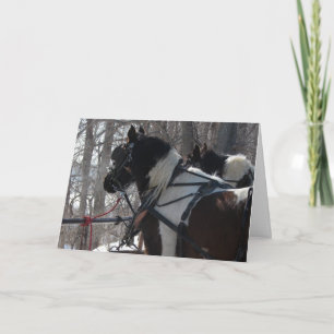 Cartes Pour Fêtes Annuelles Pinto Draft Hors, Noël