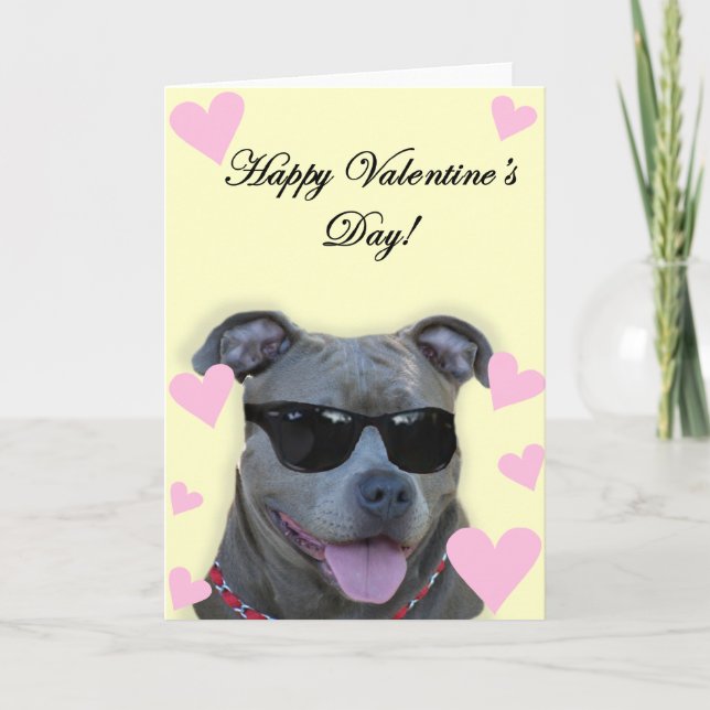 Cartes Pour Fêtes Annuelles Pitbull bleu de heureuse Sainte-Valentin avec des (Devant)