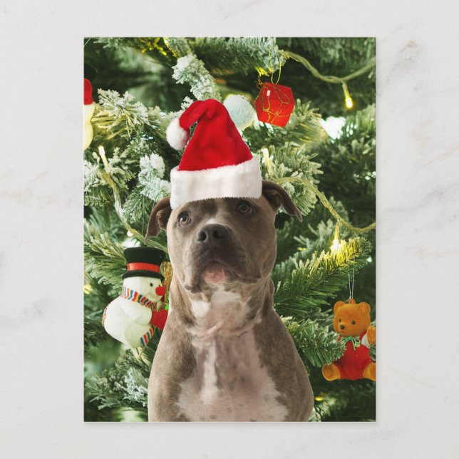 Cartes Pour Fêtes Annuelles Pitbull Chien Arbre de Noël Ornements Snowman (Devant)
