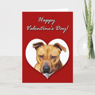 Cartes Pour Fêtes Annuelles Pitbull Valentines