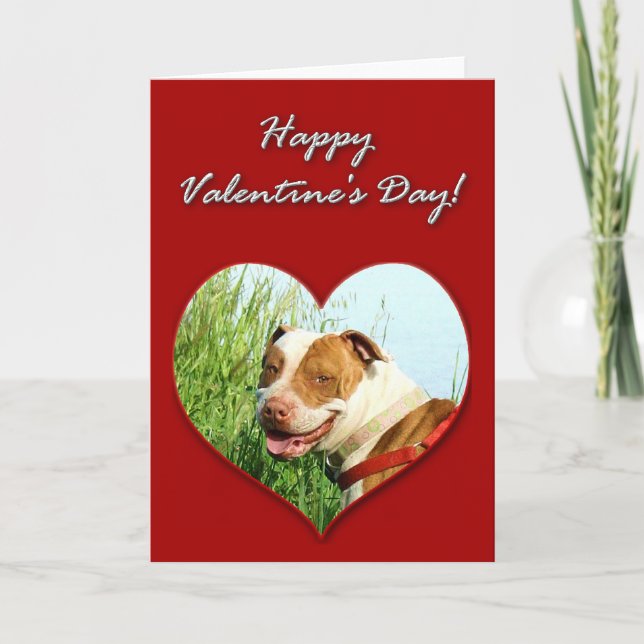 Cartes Pour Fêtes Annuelles Pitbull Valentines (Devant)
