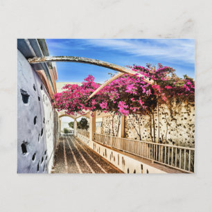 Cartes Pour Fêtes Annuelles Pittoresque Alleyway à Santorin, Grèce