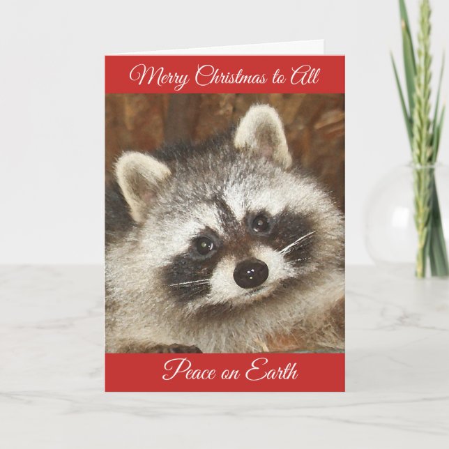 Cartes Pour Fêtes Annuelles Pixie Raccoon - Noël Bonjour (Devant)