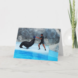 Cartes Pour Fêtes Annuelles Placer la balle sur l'otarie Espagne