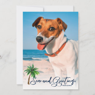 Cartes Pour Fêtes Annuelles Plage côtière mer et salutations Noël 2-Photo