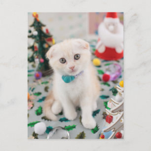 Cartes Pour Fêtes Annuelles Plier écossais à Noël