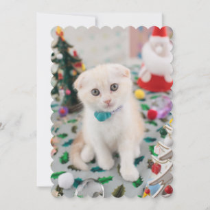 Cartes Pour Fêtes Annuelles Plier écossais à Noël