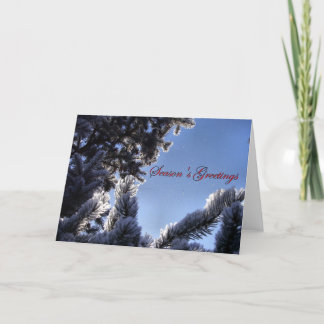 Cartes Pour Fêtes Annuelles Pneus et Bonnes Fêtes de pins
