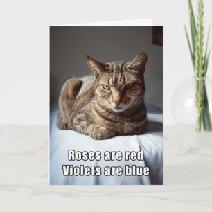 Cartes Pour Fêtes Annuelles Poème de chat de Valentine