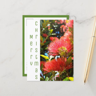 CARTES POUR FÊTES ANNUELLES POHUTUKAWA CHRISTMAS FLEURS VACANCES COMPAGNIE LOG