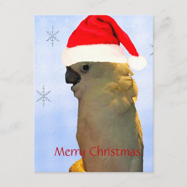 Cartes Pour Fêtes Annuelles Poing personnalisé père Noël vacances Cockatoo ois (Devant)