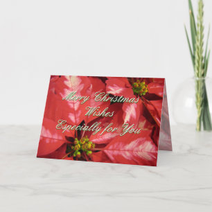 Cartes Pour Fêtes Annuelles Poinsettia 2 de Noël - personnaliser
