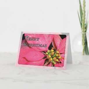 Cartes Pour Fêtes Annuelles Poinsettia de Noël