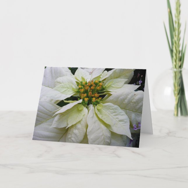 Cartes Pour Fêtes Annuelles Poinsettia Elegant Christmas Holiday Floral (Devant)