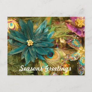 Cartes Pour Fêtes Annuelles Poinsettia Peacock Feather Christmas Postcard