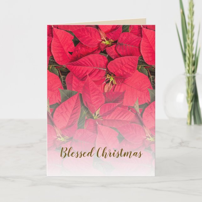 Cartes Pour Fêtes Annuelles Poinsettia rouge fleur de Noël (Devant)
