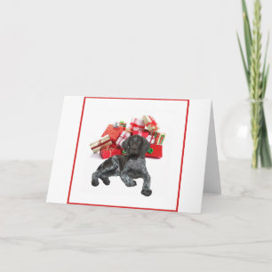 Cartes Pour Fêtes Annuelles Pointeur de Noël grizzli brillant