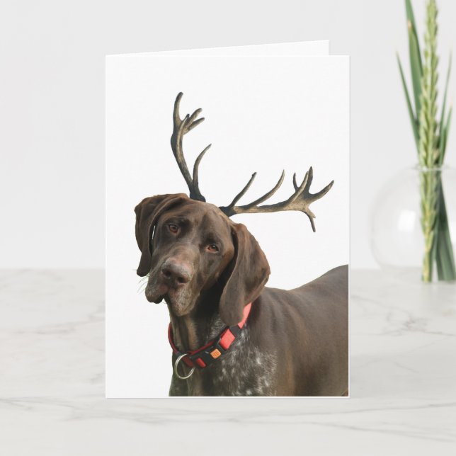 Cartes Pour Fêtes Annuelles Pointeur Grizzly Reindeer brillant (Devant)