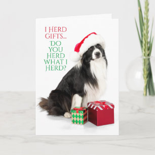 Cartes Pour Fêtes Annuelles Poison Herding Border Collie With Santa Hat