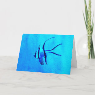Cartes Pour Fêtes Annuelles Poisson cardinal