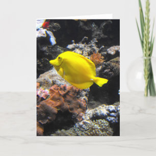 Cartes Pour Fêtes Annuelles Poisson jaune Tang