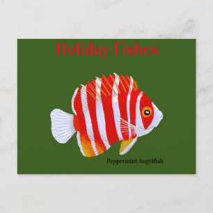 Cartes Pour Fêtes Annuelles Poissons de vacances Peppermint Poisson