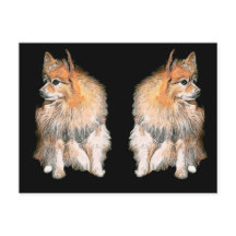 Pom attendant sur Père Noël #2