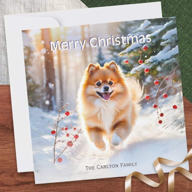 Cartes Pour Fêtes Annuelles Poméranie photo de neige de chien Joyeux Noël (A pretty, personalized Christmas card, with a picture of a cute Pomeranian dog in snow)