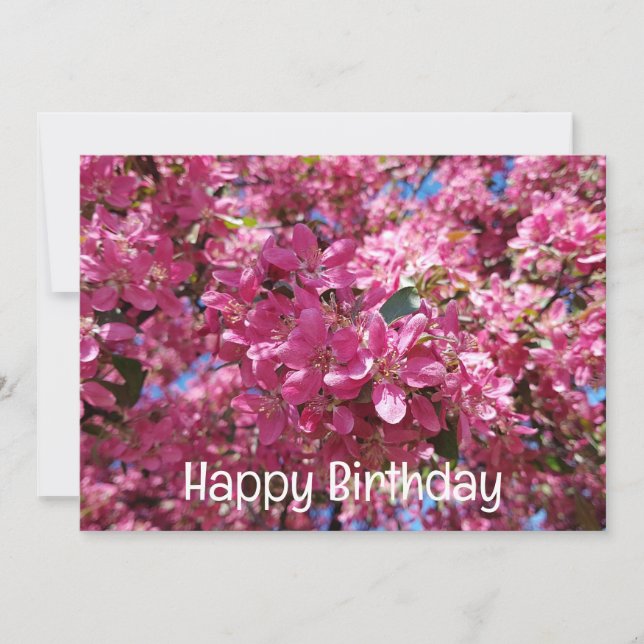Cartes Pour Fêtes Annuelles Pommier en fleurs. Fleurs roses. Joyeux anniversai (Devant)