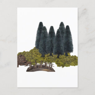 Cartes Pour Fêtes Annuelles Pont en bois dans la forêt de montagne
